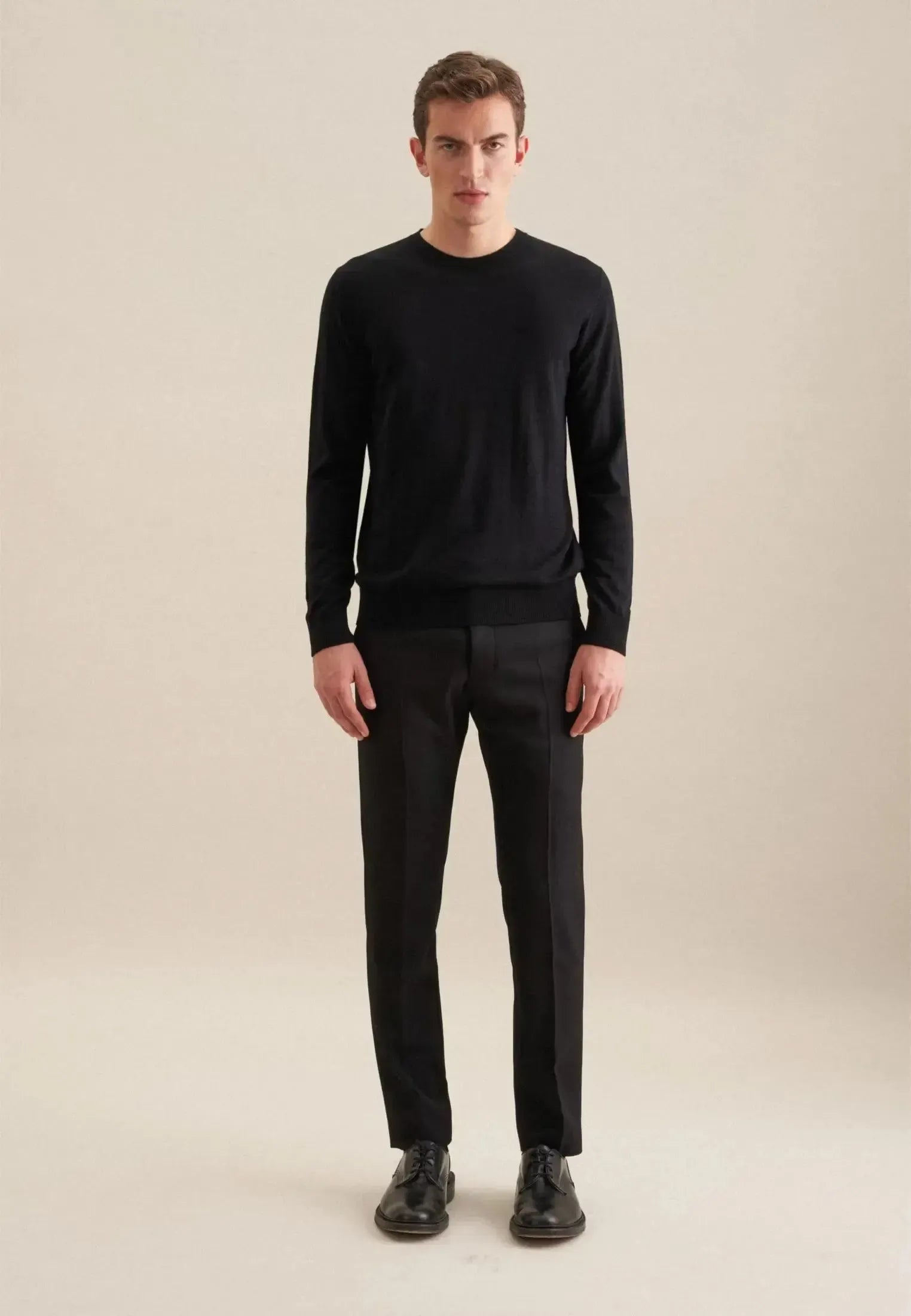 Merino Wool Crewneck Knit Black-seidensticker uk