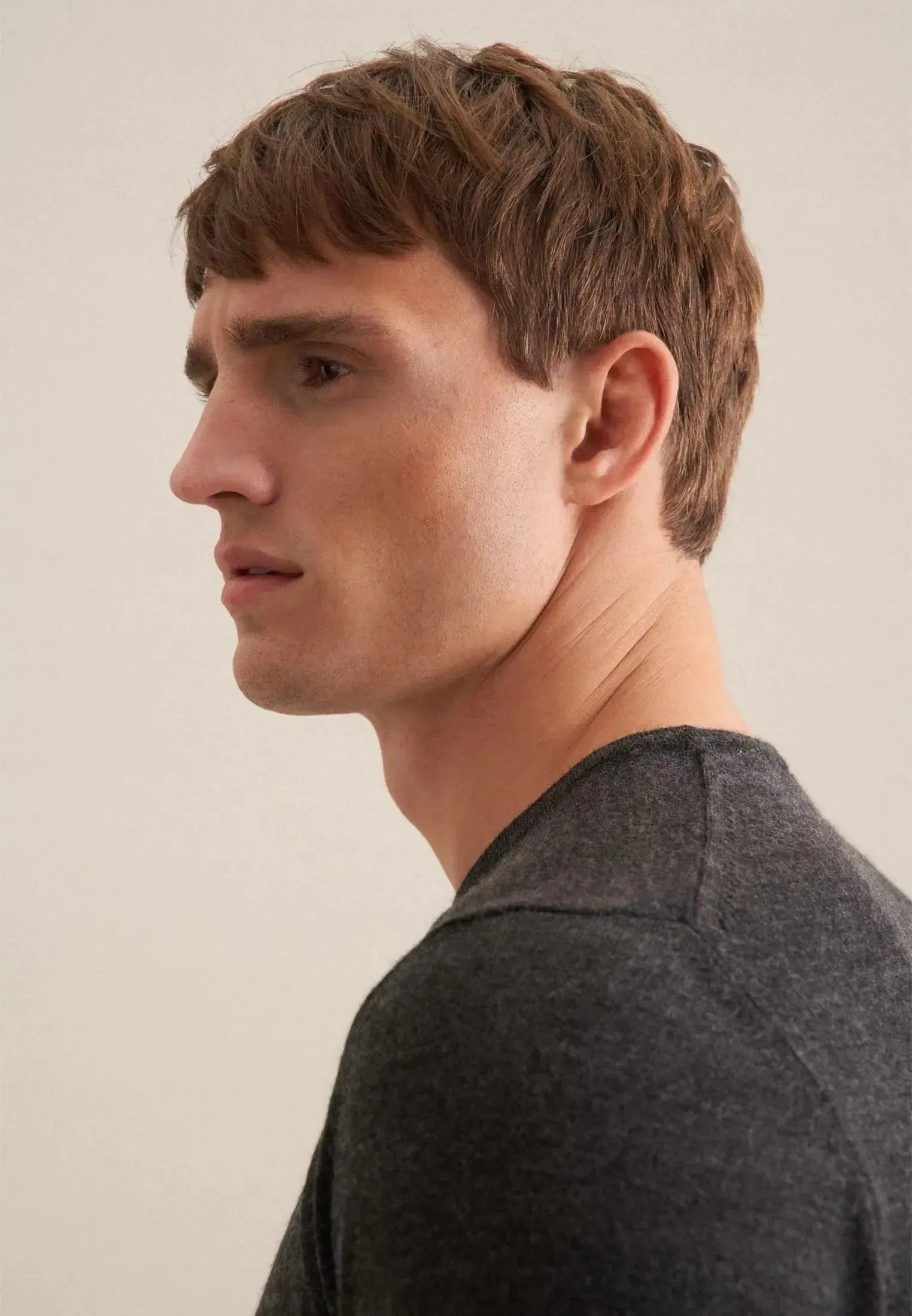 Merino Wool Crewneck Knit Grey-seidensticker uk