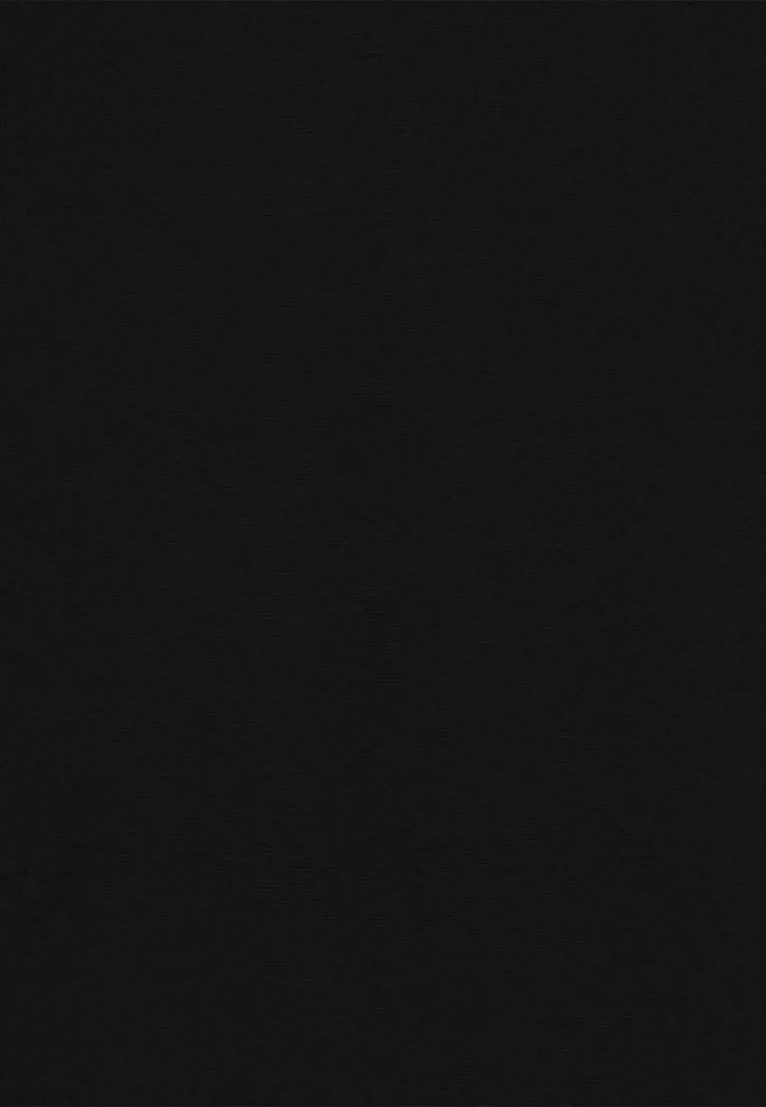 Merino Wool Roll Neck Knit Black-seidensticker uk