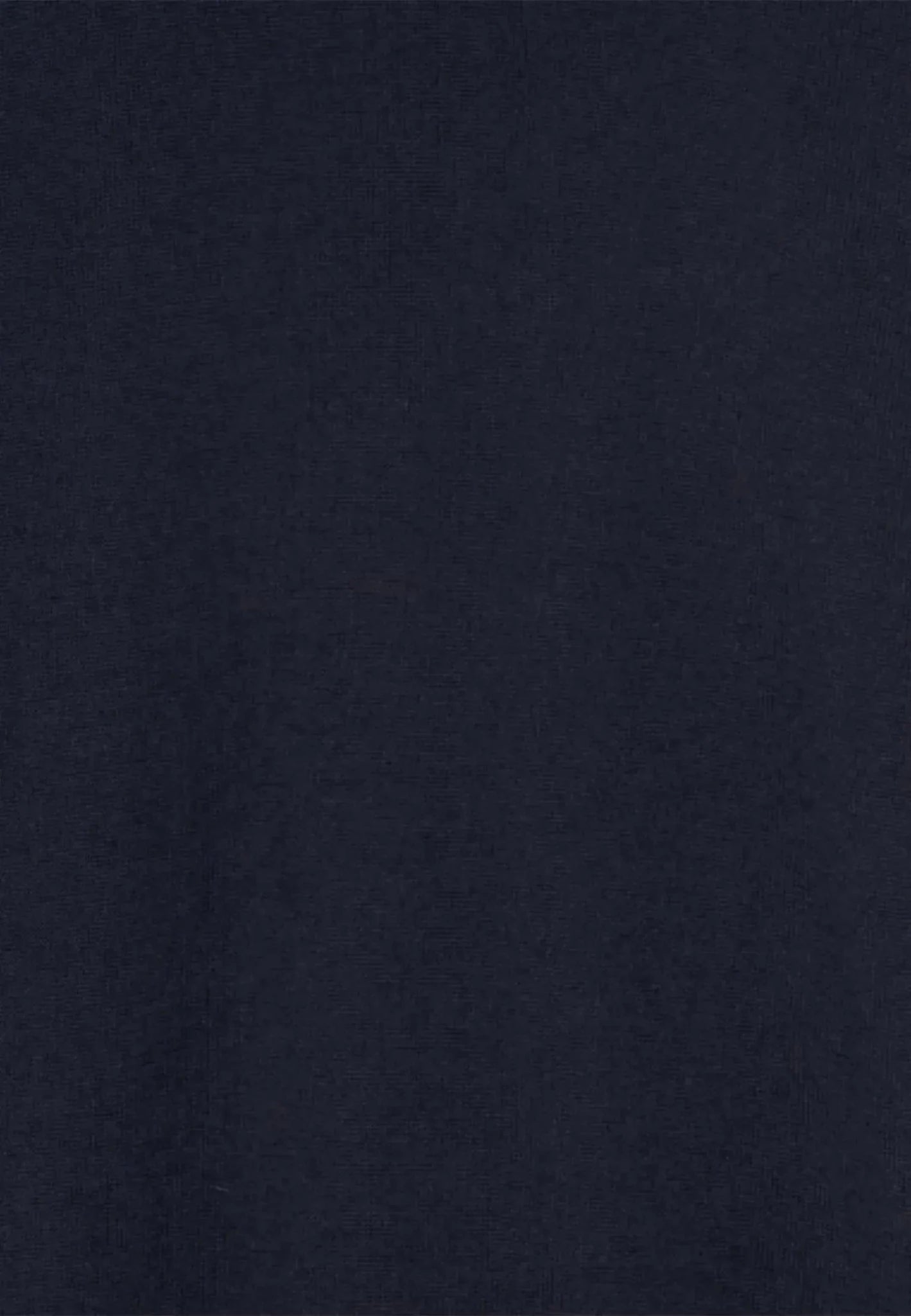 Seidensticker Merino Wool Roll Neck Knit Dark Blue - 01.251580-19-S - seidensticker.co.uk
